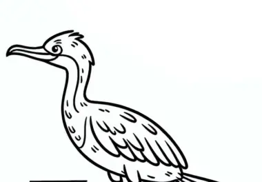 Kormoran – Double-Crested Cormorant Vogel aus Nordamerika – Malvorlage gratis