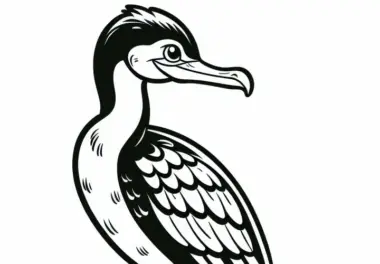 Kormoran Vogel Europa Ausmalbild Gratis