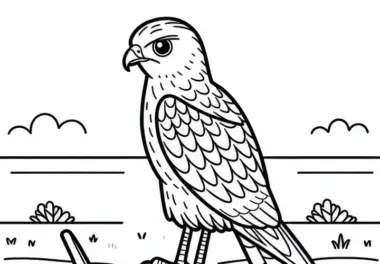 Kornweihe Vogel Europa Ausmalbild Kostenlos