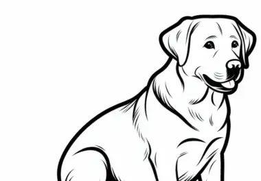 Labrador Retriever Malvorlage Hund Kostenlos