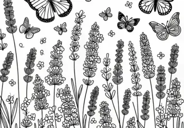 Lavendelfeld mit flatternden Schmetterlingen – Ausmalbild für Sommerblumen kostenlos herunterladen