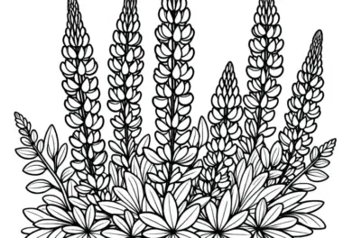 Ausmalbild der Lupine mit Sträuchern kostenlos herunterladen