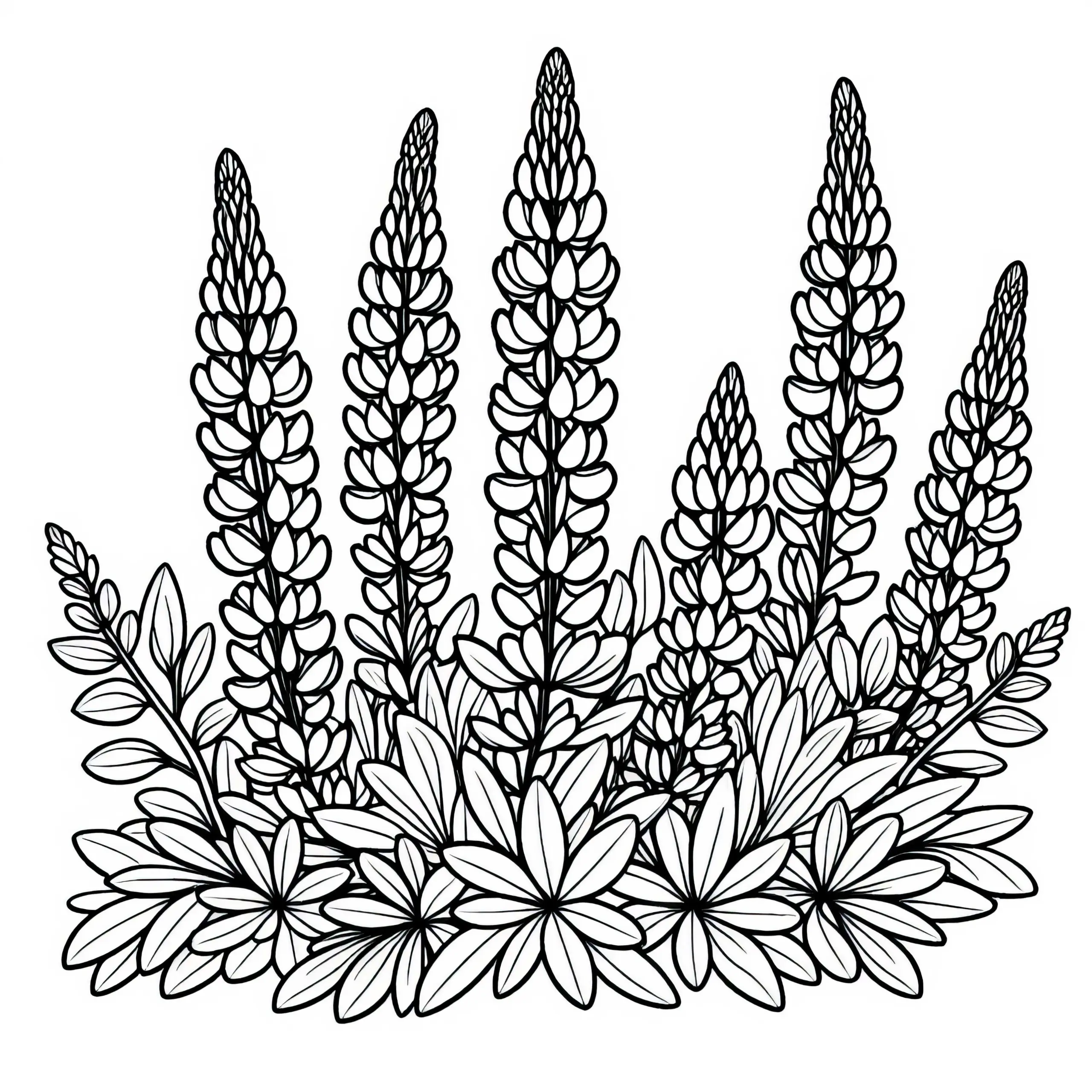 Ausmalbild der Lupine mit Sträuchern kostenlos herunterladen