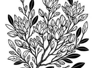 Ausmalbild von Magnoliensträuchern – Kostenloses Download-Angebot