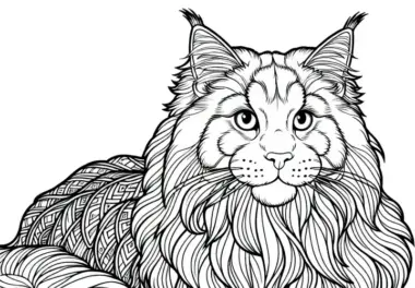 Maine Coon Malvorlage Katze Kostenlos