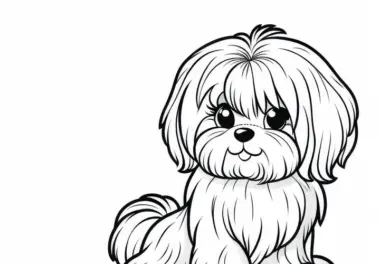 Malteser Ausmalbild für Hunde – Kostenloser Download