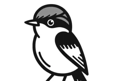 Rotkehlpipra Vogel Südamerika Malvorlage Gratis