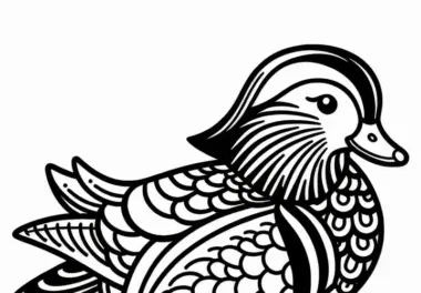 Mandarinenente – Vogel aus Asien als Ausmalbild gratis