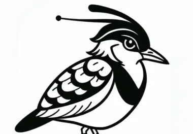 Maskenkiebitz – Ausmalbild eines Vögels aus Australien und Ozeanien kostenlos herunterladen