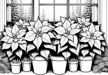 Mehrere Blumen Weihnachtssterne Malvorlage Kostenlos