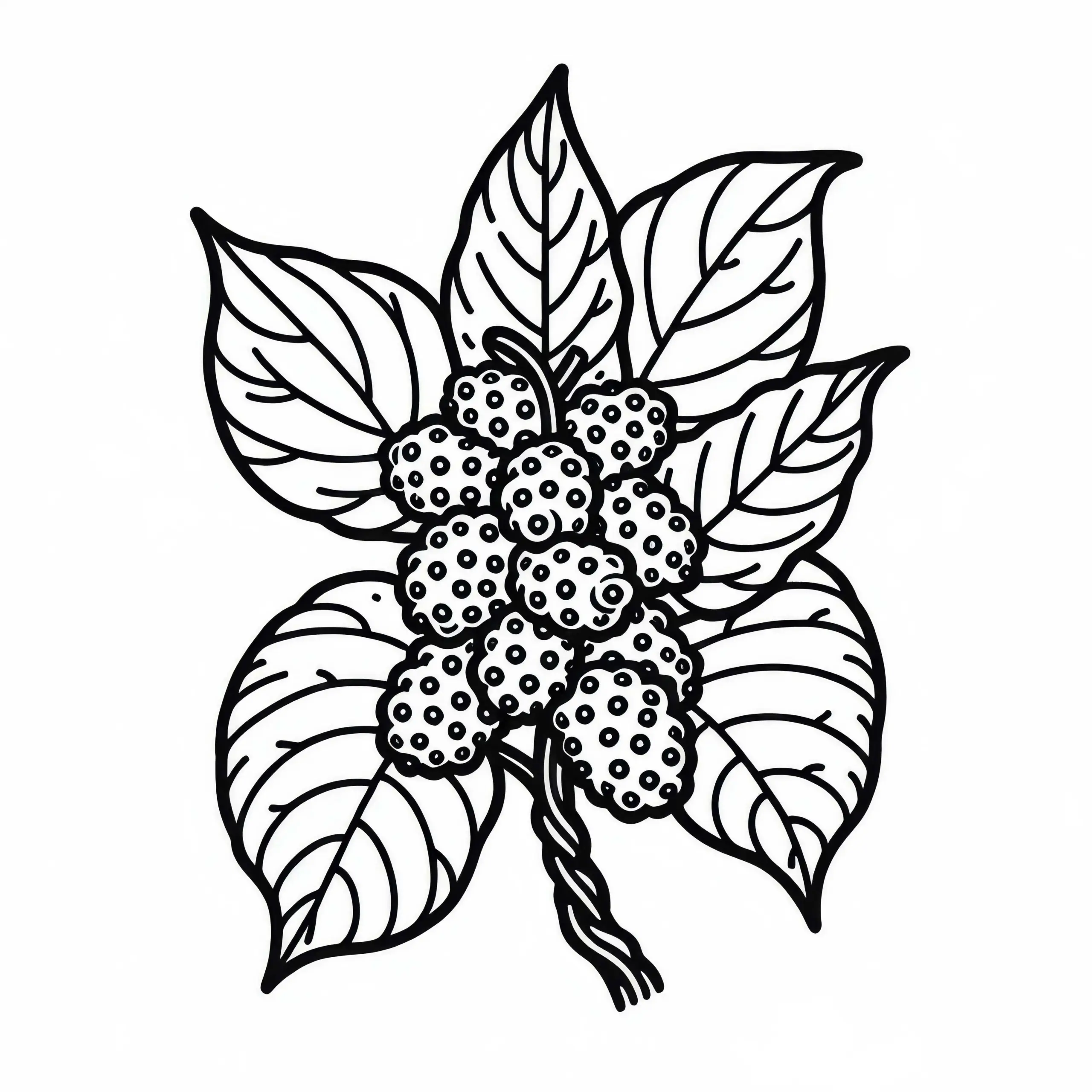 Noni – Indische Maulbeere Ausmalbild Kostenlos