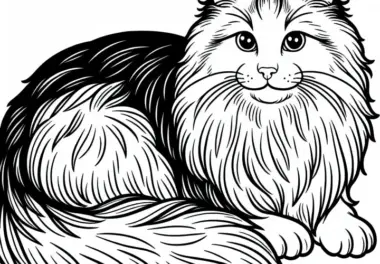 Norwegische Waldkatze Malvorlage Kostenlos