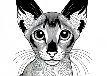 Orientalische Kurzhaar Katze Malvorlage Gratis