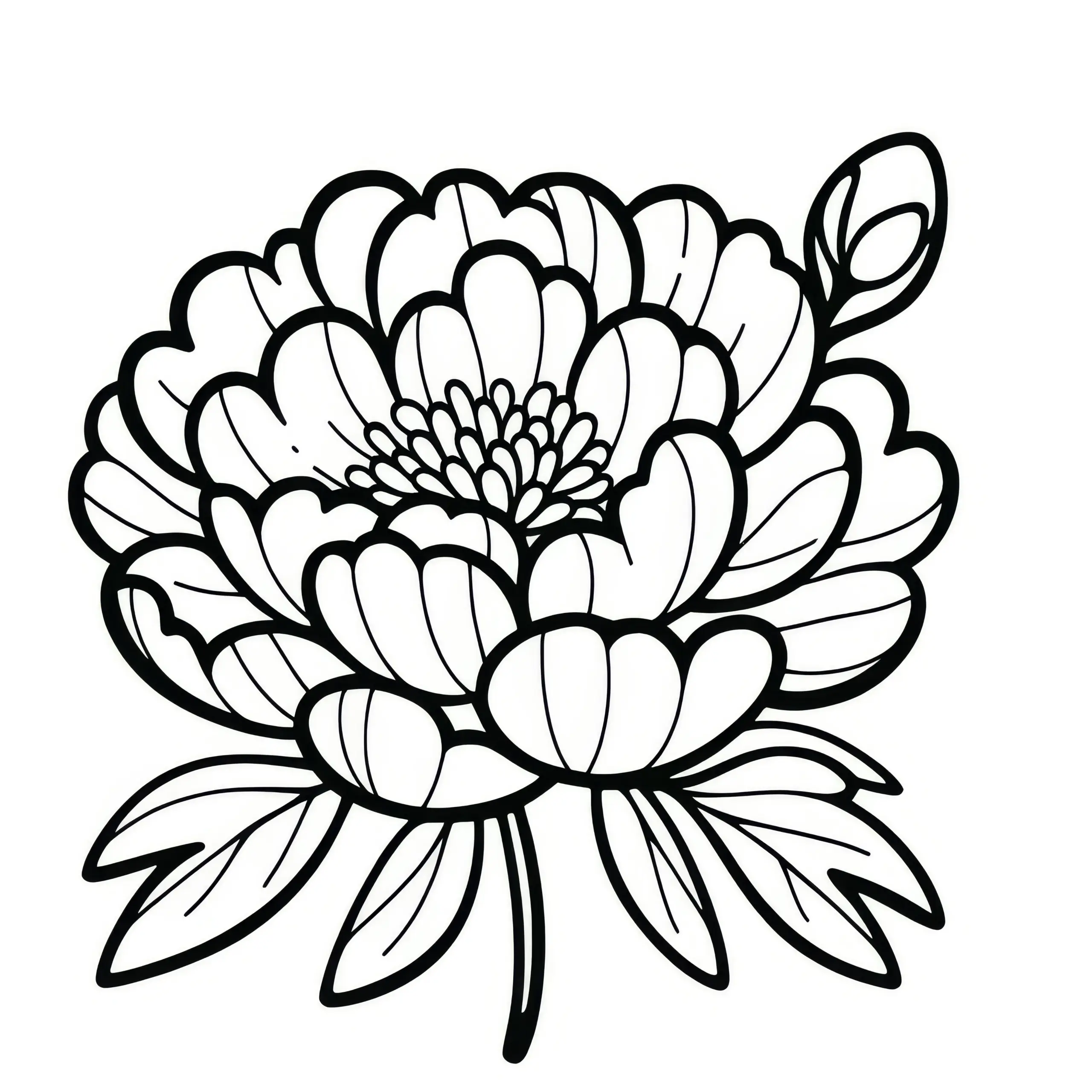 Pfingstrosenblüte: Einfache Malvorlage zum Ausmalen (Gratis) (Ausmalbild)