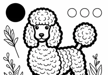 Pudel Malvorlage Hund Gratis