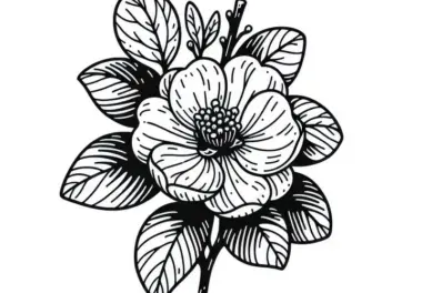 Quitten Ausmalbild zum Download und Ausmalen