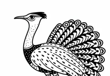Riesentrappen: Kori-Bustard Vogel in Afrika als Ausmalbild