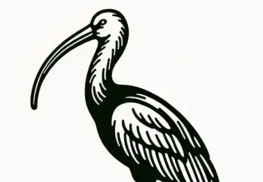 Roter Sichler und Scarlet Ibis – Vogelmalvorlage für Asien