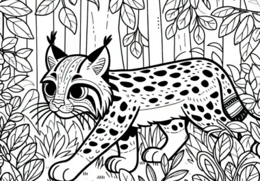 Rotluchs schleicht durch Unterholz – Ausmalbild einfach kostenlos