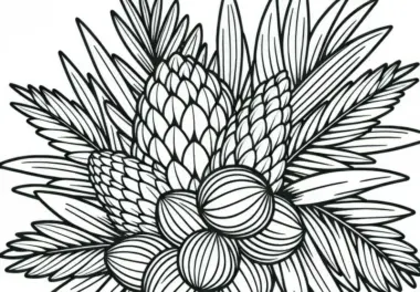 Malvorlage der Salak-Palme (Salacca zalacca) kostenlos herunterladen