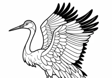 Sandhügelkranich – Ausmalbild für Vögel in Nordamerika