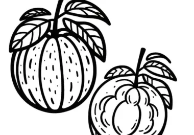 Ausmalbild Santol Kostenlos zum Download