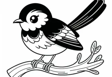 Schamadrossel – White Rumped Shama – Vogel aus Asien – Ausmalbild kostenlos