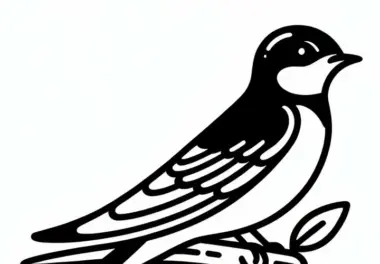 Scharlachbürzelschwalbe – Vogel aus Afrika als Malvorlage gratis