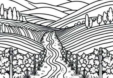 Schmaler Pfad zwischen Rebstöcken eines Weinbergs – Ausmalbild kostenlos