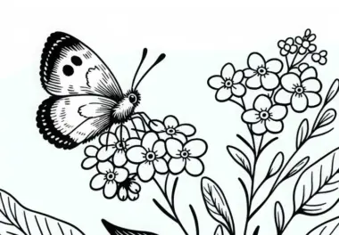 Schmetterling landet auf Blume – Vergissmeinnicht Malvorlage kostenlos herunterladen
