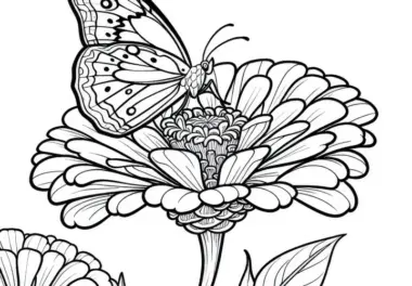 Schmetterling sitzt auf Blume Zinnie Ausmalbild