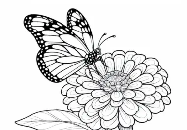 Schmetterling sitzt auf Blume Zinnie Malvorlage Kostenlos