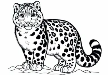 Schneeleopard Ausmalbild – Raubkatze Kostenlos