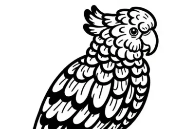 Schwarzschwanzkakadu – Black Cockatoo Vogel Australien Ozeanien Malvorlage Gratis
