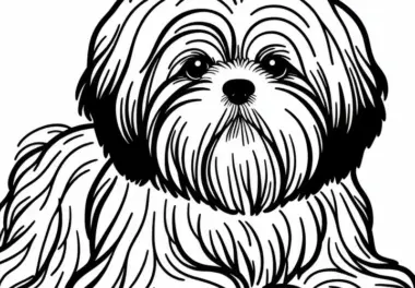Shih Tzu Ausmalbild für Hunde-Liebhaber – Kostenlos herunterladen