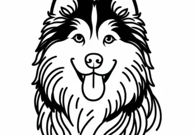 Sibirischer Husky Malvorlage Hund Kostenlos