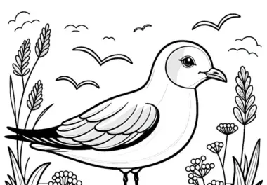 Silbermöwe – Ausmalbild für Vogel-Liebhaber aus Australien und Ozeanien