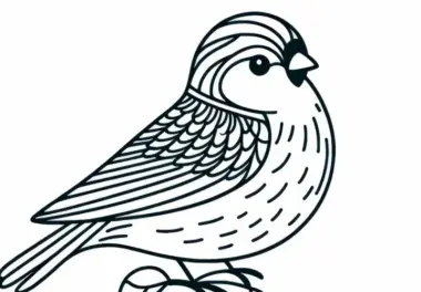 Spatz Ausmalbild Vogel Gratis