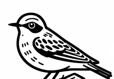 Steinschmätzer Vogel Europa Ausmalbild Kostenlos