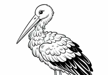 Storch Ausmalbild Vogel kostenlos herunterladen