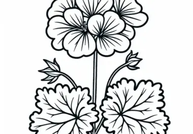 Storchschnabel Malvorlage Kostenlos