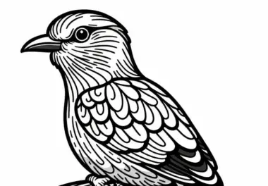 Strichelracke – Lilac Breasted Roller Vogel aus Afrika Ausmalbild Gratis