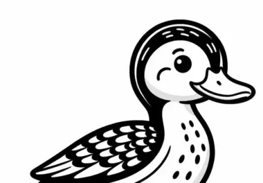 Sturzbachente – Torrent Duck – Vogel aus Australien und Ozeanien als Ausmalbild gratis