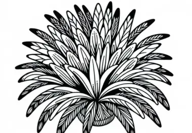 Ausmalbild einer südafrikanischen Zwergpalme (Phoenix reclinata) – Kostenlos zum Download