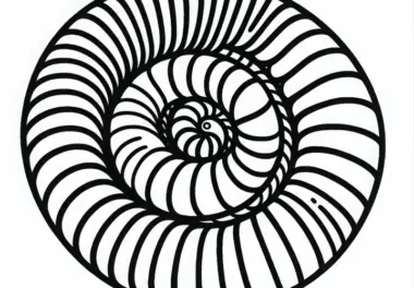 Tausendfüßer rollt sich zu einer Spirale zusammen – Ausmalbild gratis