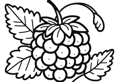 Tayberry Malvorlage Einfach Gratis – Jetzt Ausmalen und Herunterladen