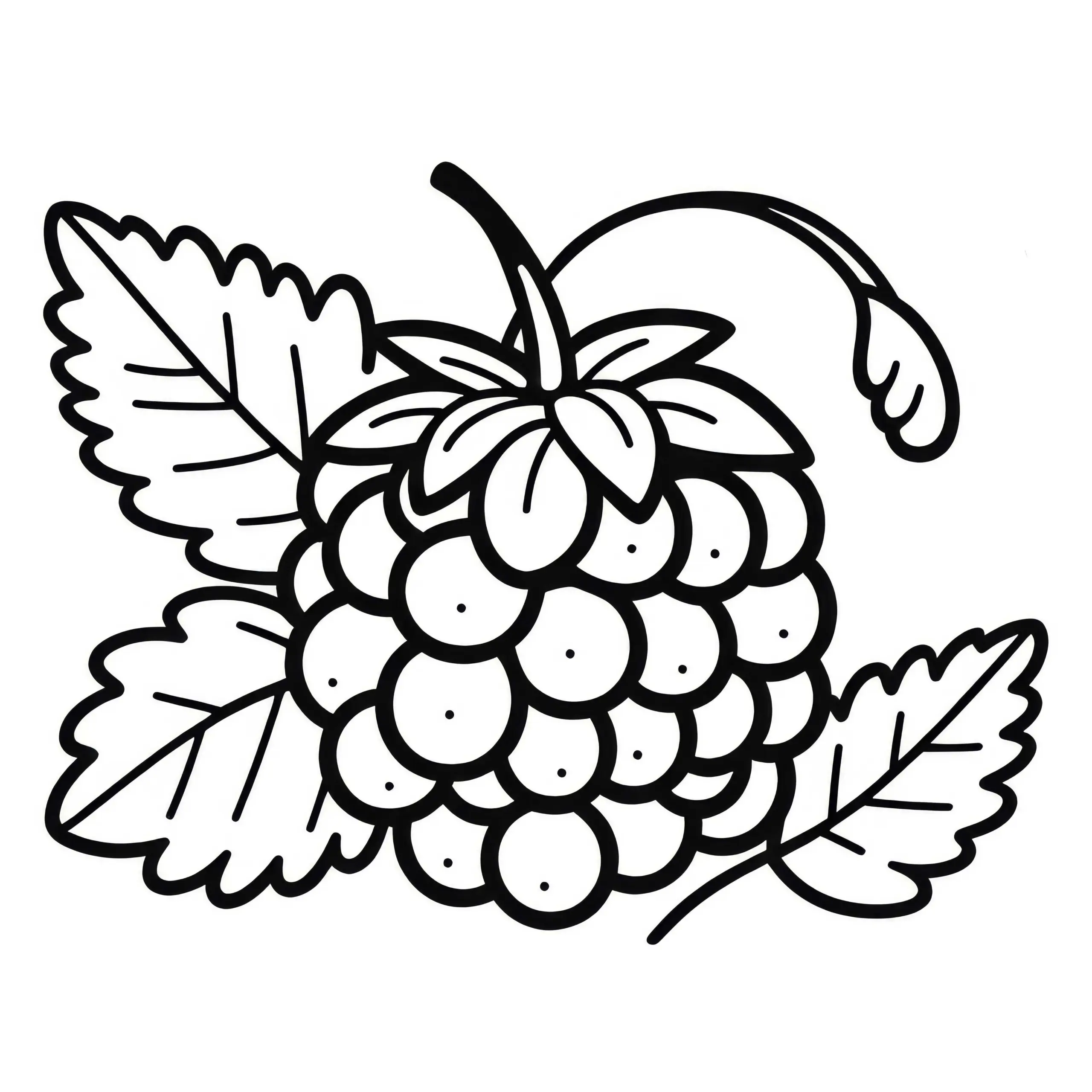 Tayberry Malvorlage Einfach Gratis – Jetzt Ausmalen und Herunterladen (Ausmalbild)