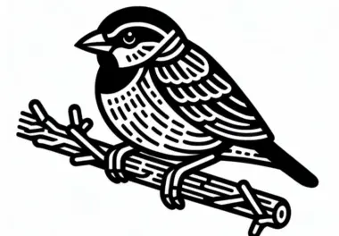 Ausmalbild vom Webervogel für Kinder