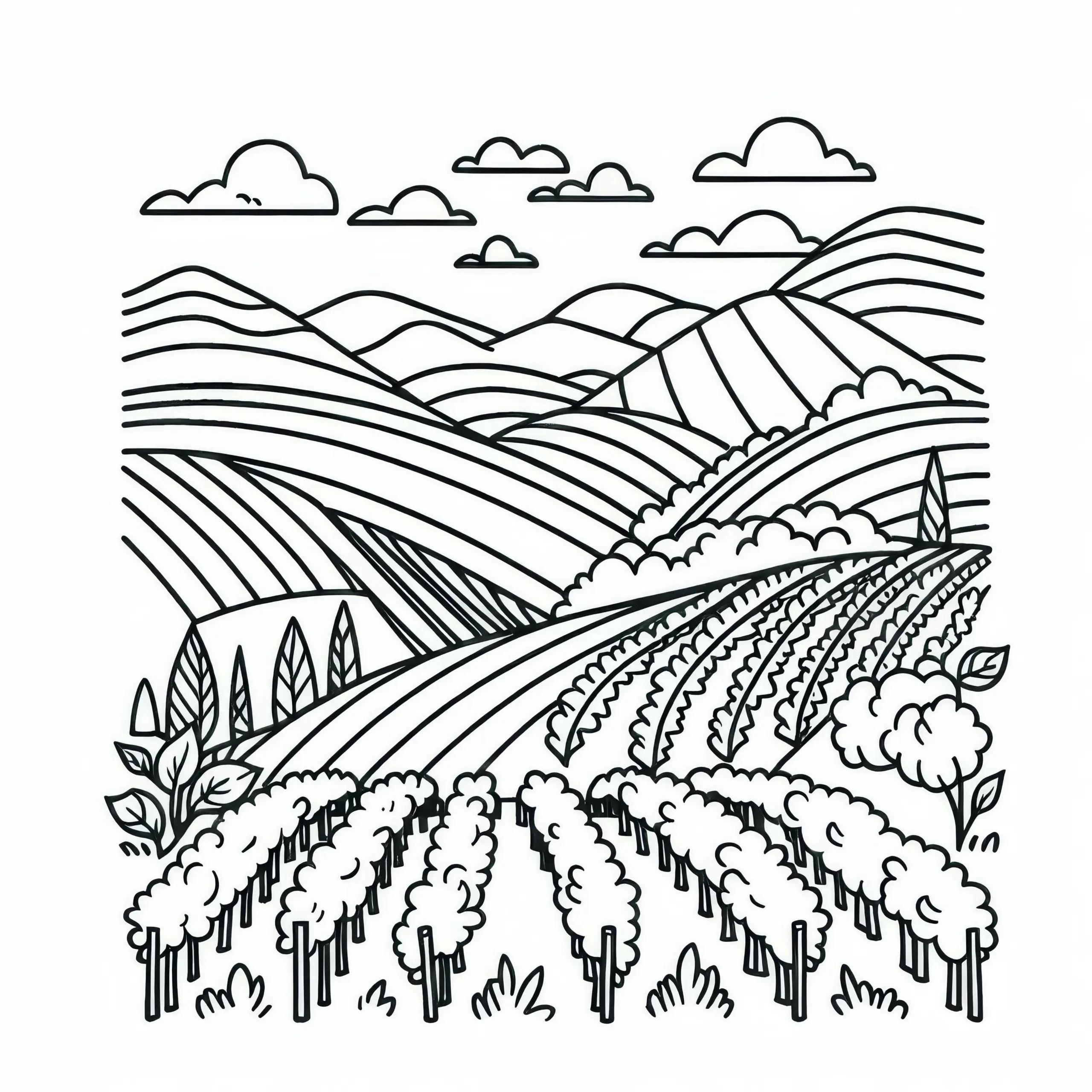 Weinberg auf Hügel mit Blick ins Tal – Malvorlage für Landschaft (Ausmalbild)