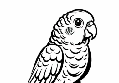 Weisse Bauchpapageien Caiques Ausmalbild Kostenlos